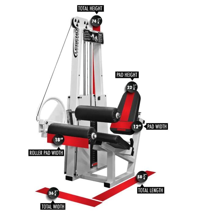 Leg Curl - 956 Legend