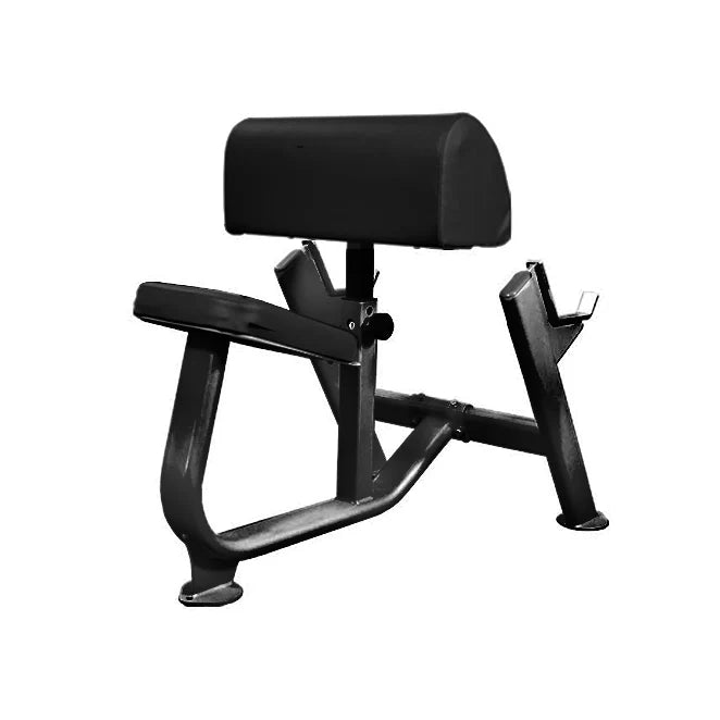 Preacher Curl Bench BM-PCB Commercial