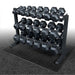 Dumbbell Set with rack and mat