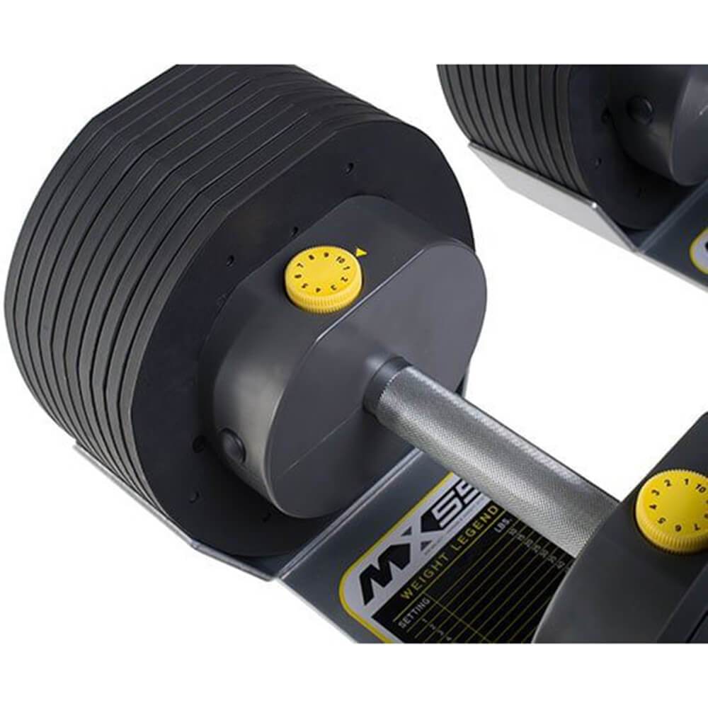 Isf dumbbells best sale